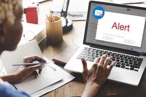 Person using laptop with "Alert" on screen.